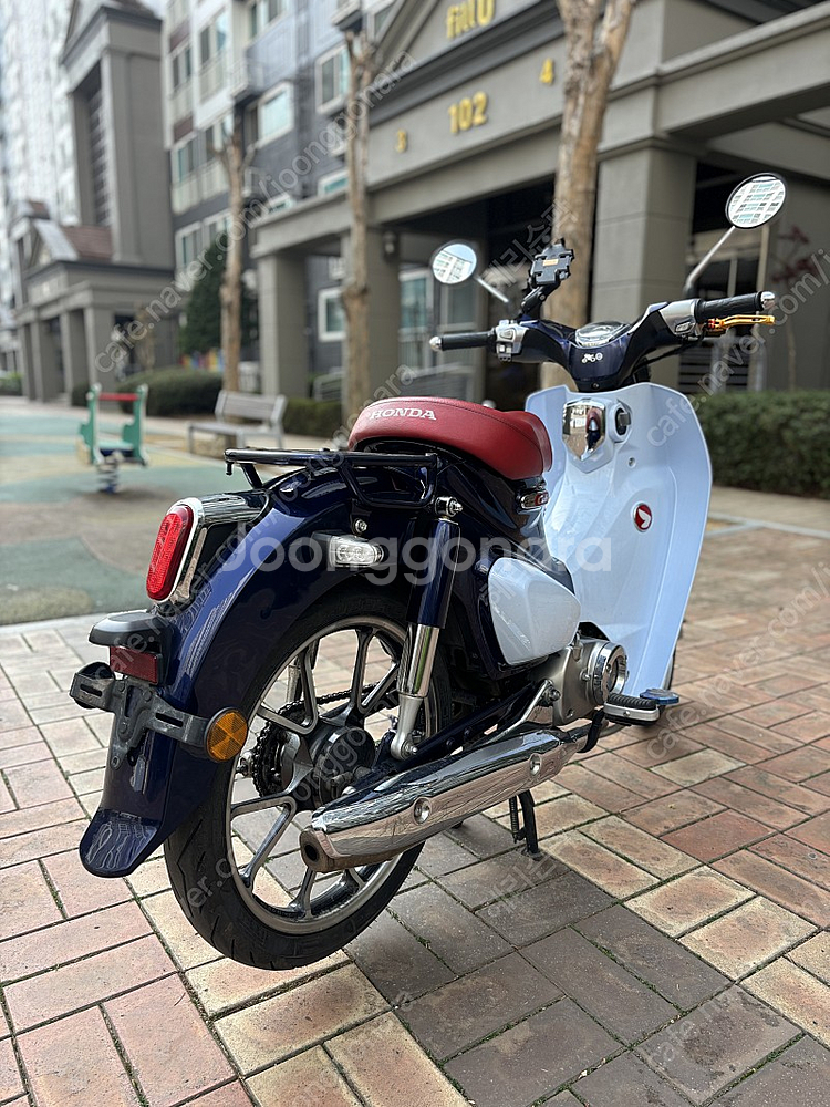가격다운 C125--2
