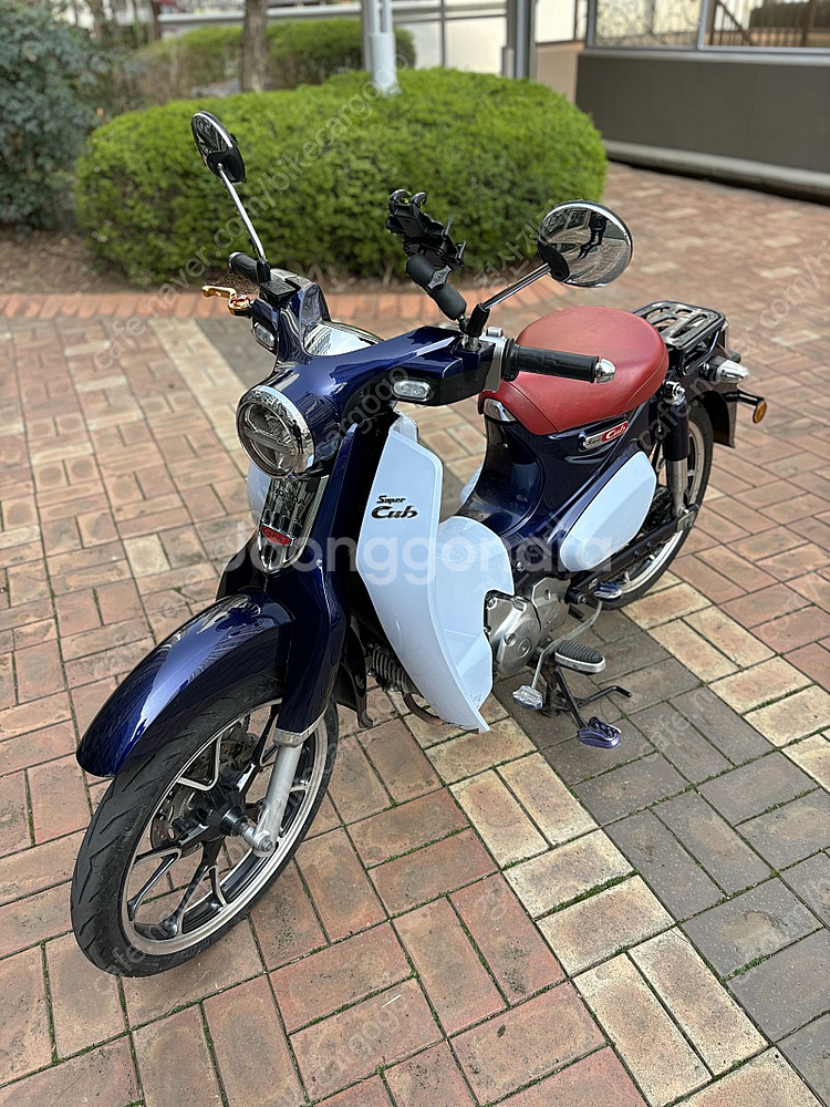 가격다운 C125--6