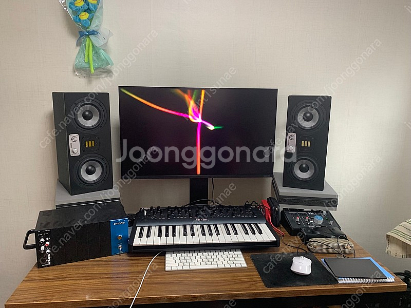 Eve sc305 판매합니다--0