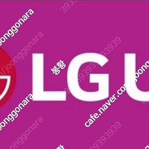 LGU+ 엘지 유플러스 데이터 2GB/2기가