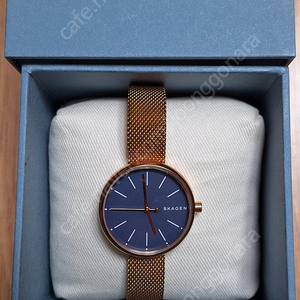 스카겐 여성 손목시계 (SKAGEN SKW2593)