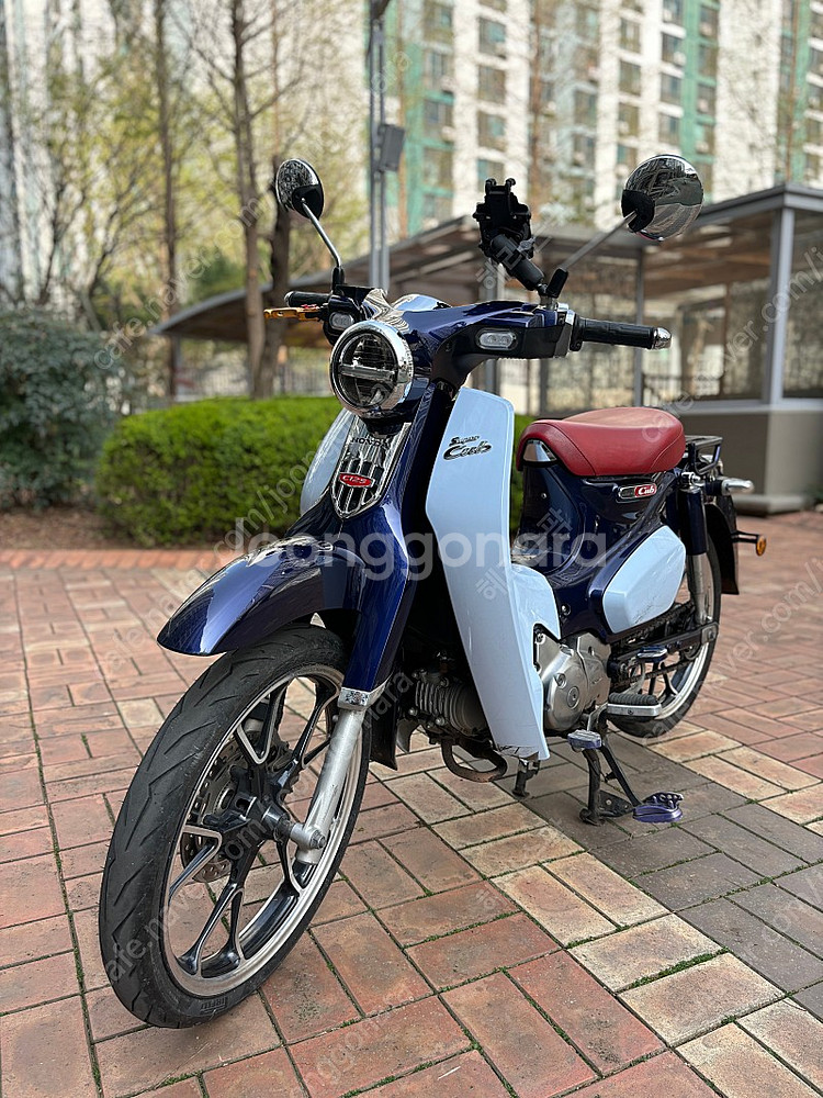 [경산] C125 2019년식 39,@@@km--6