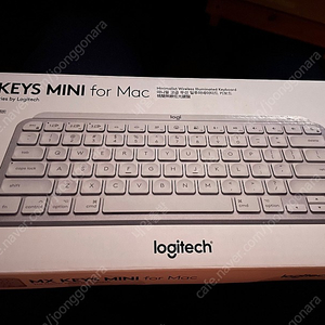 mx keys mini