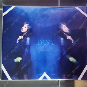 보아 BoA 일본 9집 cd+dvd