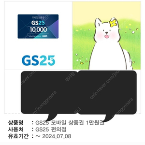 gs25 12000원권