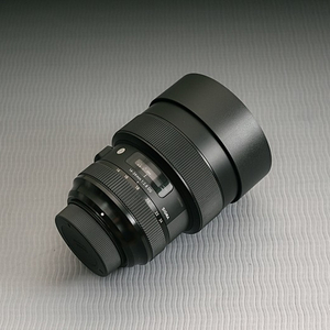 니콘용] 시그마아트 24-35mm(F2), 아트 14-24mm(F2.8) 메가댑 ETZ 21pro 가격조정 판매