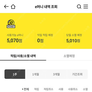 이마트 이머니 e머니 5070원