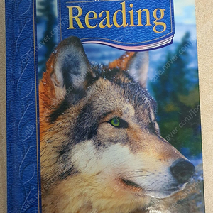 Houghton Mifflin Reading 4