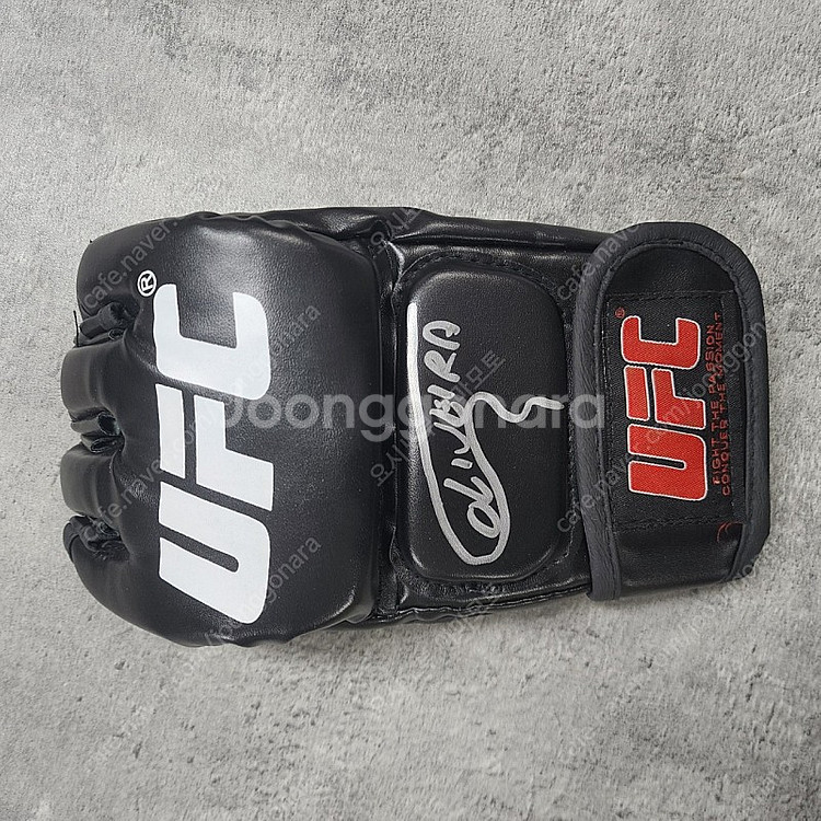 ufc 300 출전선수 저스틴게이치 맥스할로웨이 찰스올...--0