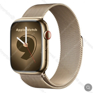 Apple Watch 9 GPS+Cellular 45mm 골드 스테인리스 스틸 케이스/골드 밀레니즈 루프 MRMU3KH