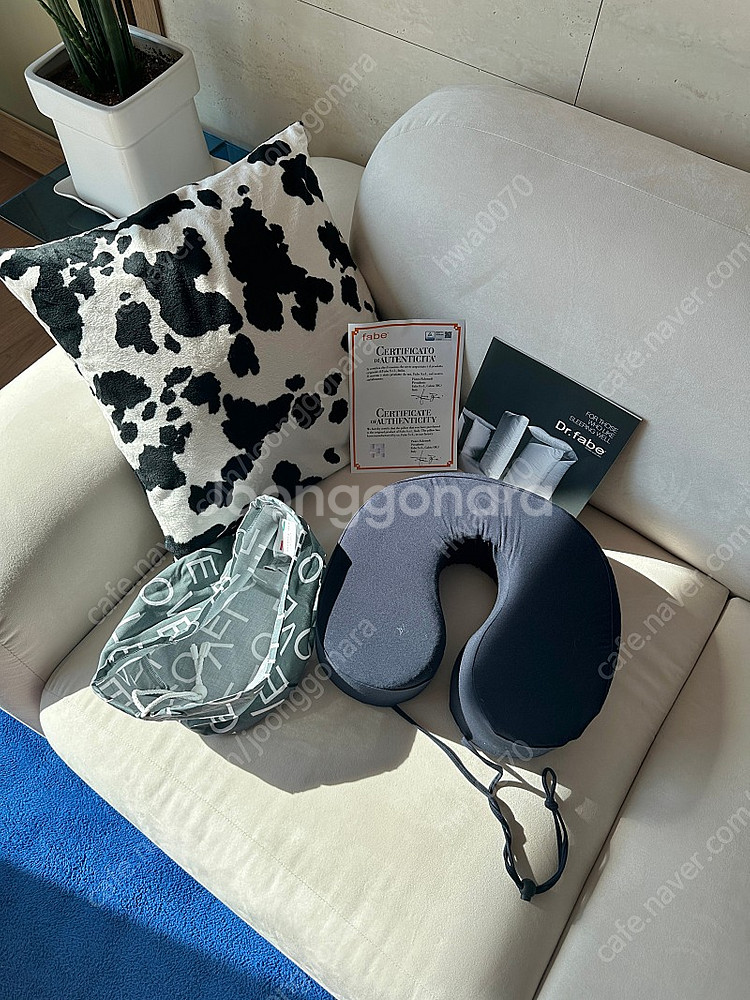 닥터파베 목베게--0