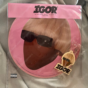 타일러 더 크리에이터 Igor 픽쳐디스크 lp