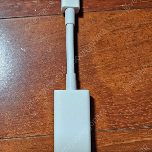 애플 Thunderbolt to Gigabit Ethernet Adapter (A1433)