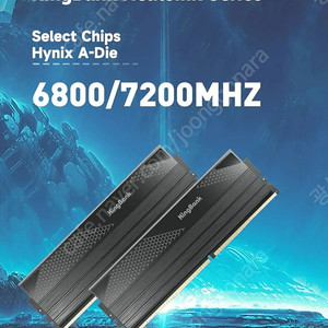 ddr5 32기가 kingbank