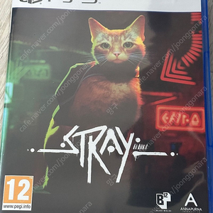 스트레이 stray ps5 게임 타이틀