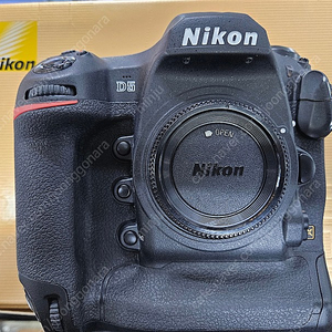 Nikon D 5 XQD