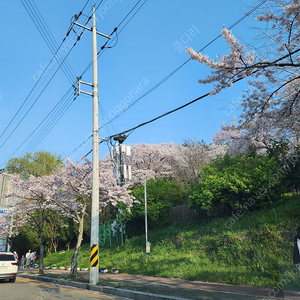 야놀자 여기어때 80프로 삽니다