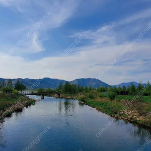 진주,부산 직거래로 알파스캔 24~27인치모니터삽니다.