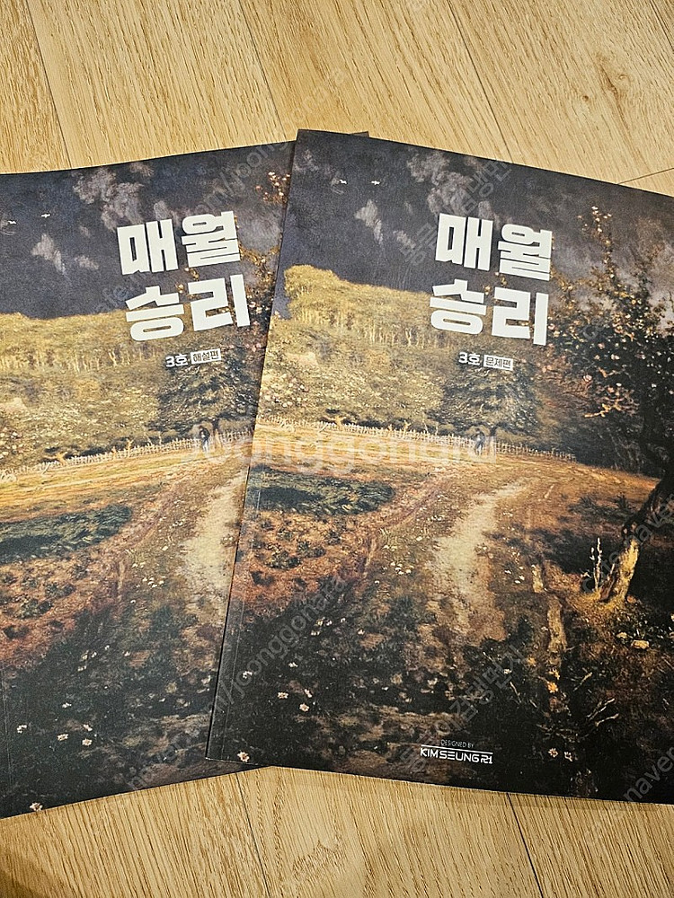 2025대성마이맥 국어 김승리 매월승리3호--0
