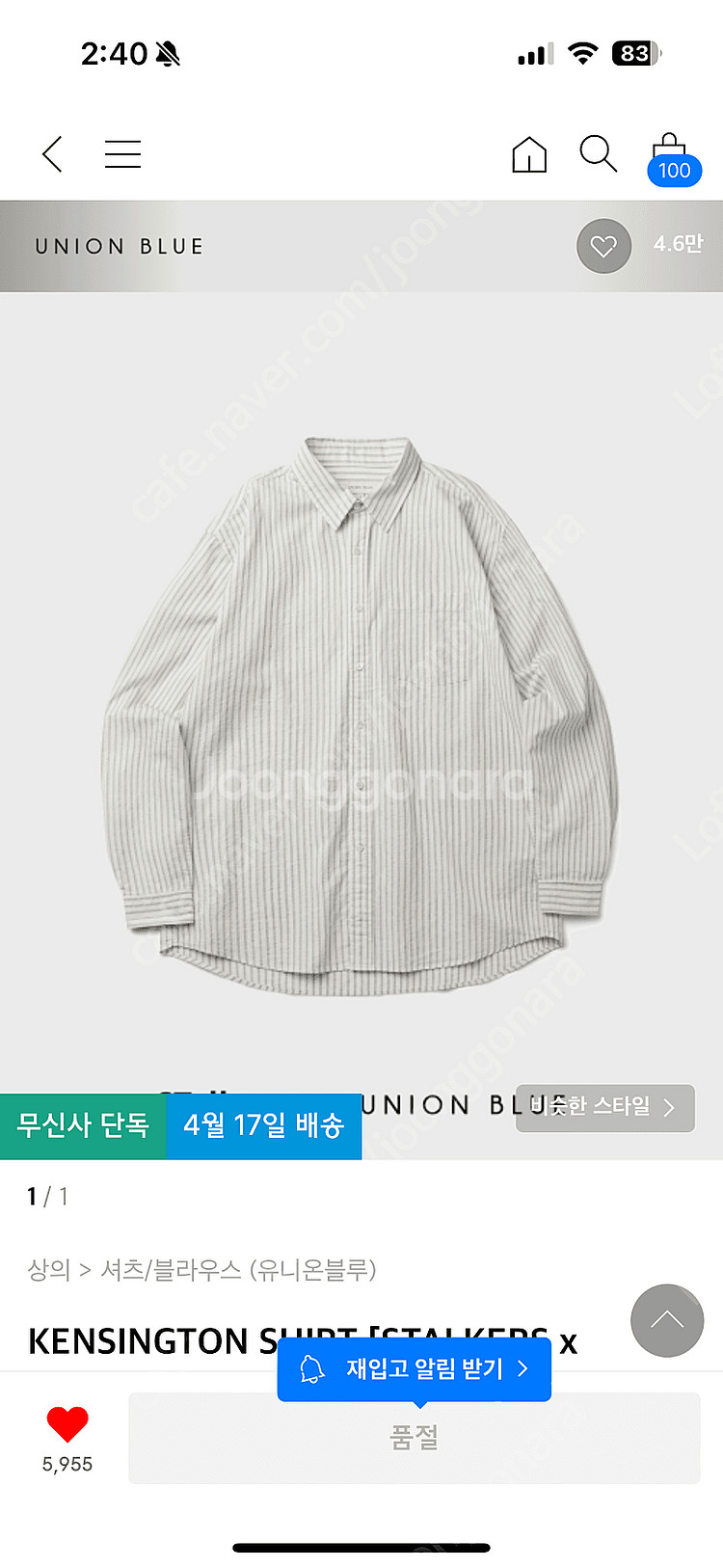 켄싱턴셔츠 L사이즈--0