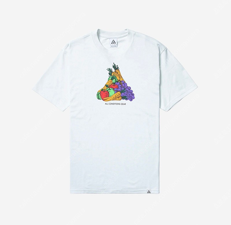 나이키 acg 반팔 티셔츠 DQ4955-121 XL 판매