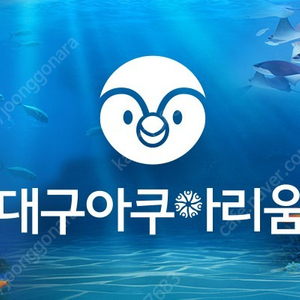 대구 아쿠아리움 이용권 판매합니다