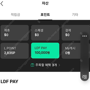 LDF 페이 10만원을 6만원에 판매합니다.