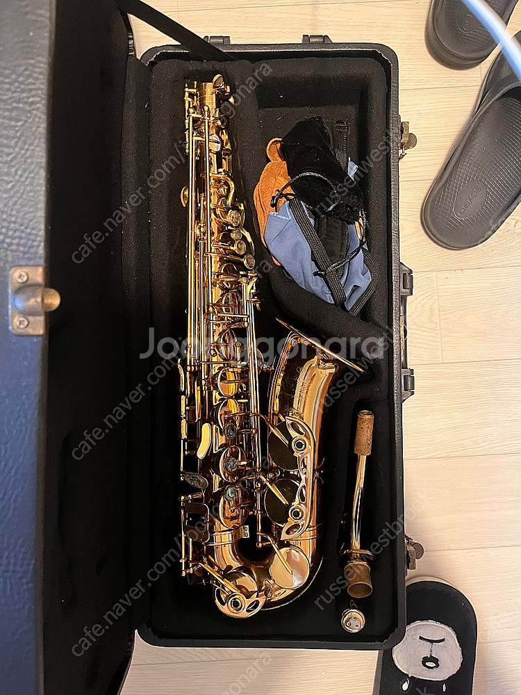 쾰른 색소폰 883--0