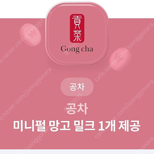 공차 미니펄 망고밀크 팝니다