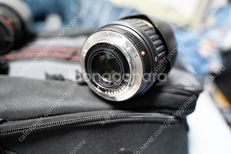 소니 A77, 탐론 17-50, 소니 55-200, 스...--6