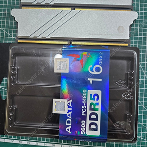 (대구) ADATA DDR5-5600 32GB (16GB X 2개) 팝니다