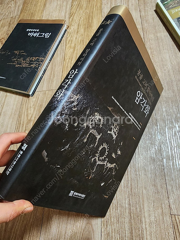 동북아역사재단 몽골 고비 알타이의 암각화--1