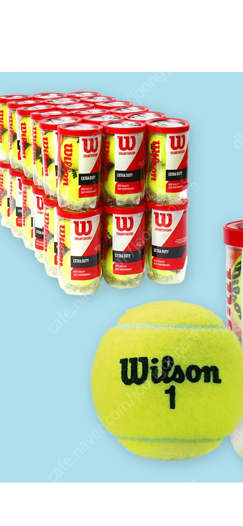 윌슨 테니스 시합구 36캔72구 판매합니다