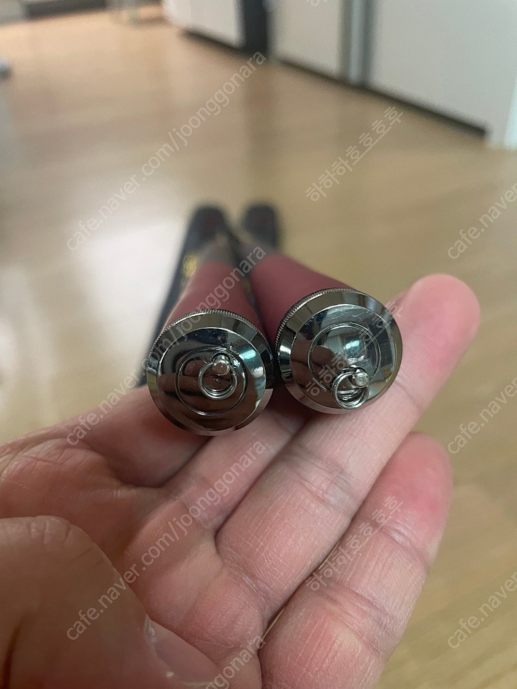 다이와 레이카--1