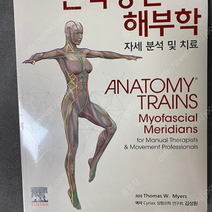 근막경선해부학