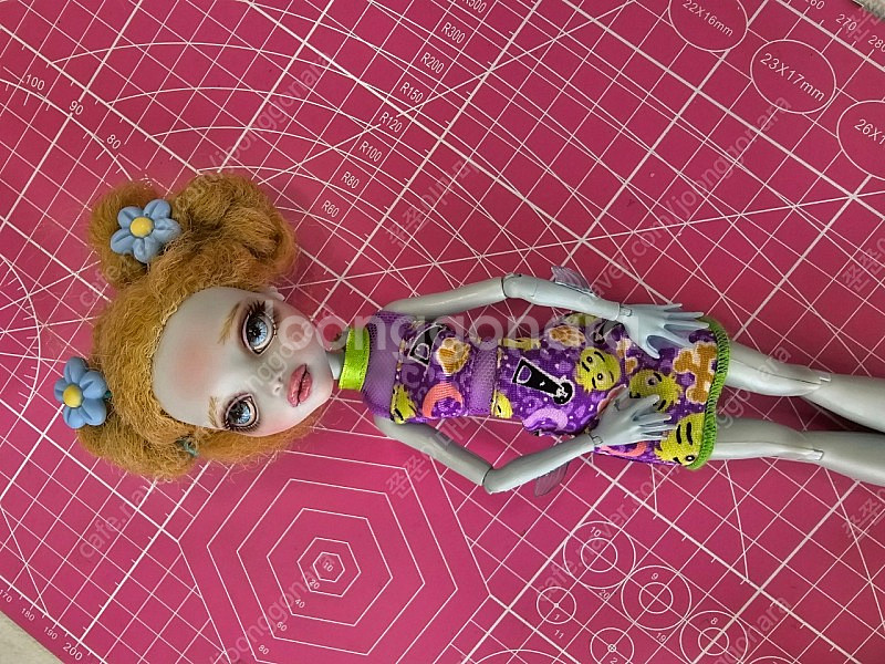 리페인팅 몬스터하이돌--1