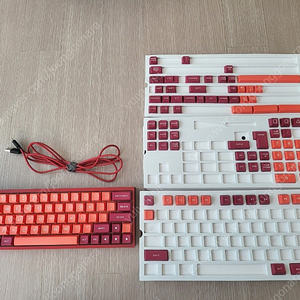 Dz60 버건디