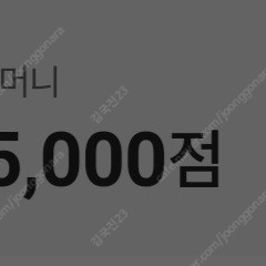 이마트 이머니 5000원 팝니다