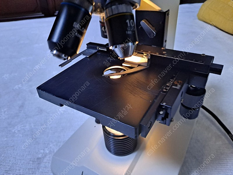 SELOPT SBH 생물현미경 이미지