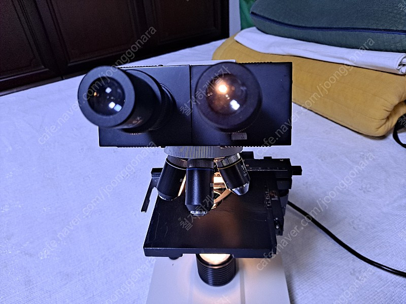 SELOPT SBH 생물현미경 이미지