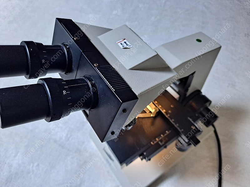 SELOPT SBH 생물현미경 이미지