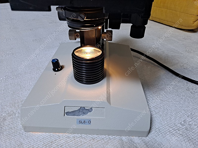 SELOPT SBH 생물현미경 이미지