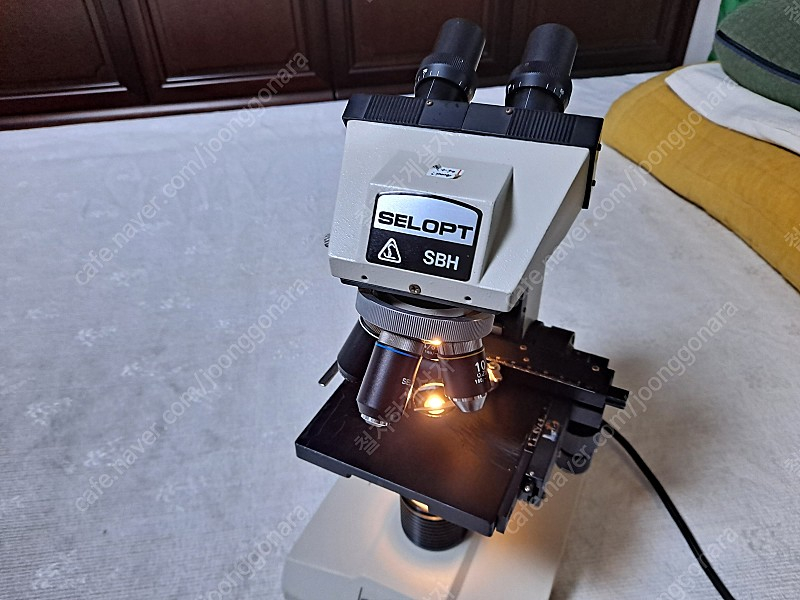 SELOPT SBH 생물현미경 이미지