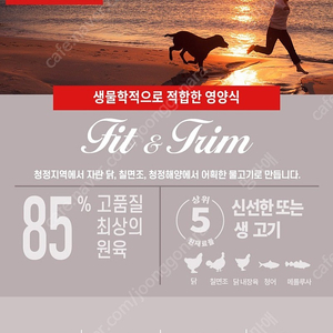 오리젠 피트앤트림독 6키로 강아지 사료