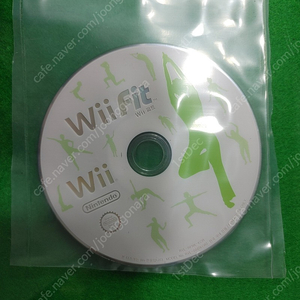 wii wiifit