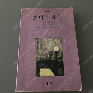 보바리부인 옛날책 오래된책