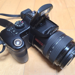 파나소닉 루믹스 DMC FZ50 디카 하이앤드 카메라