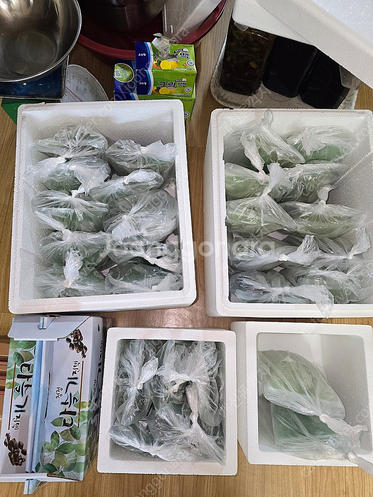 괴산 깐다슬기--1