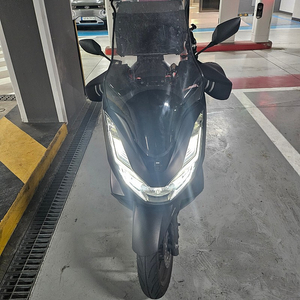 (성북구) 2022년식 ABS pcx 판매