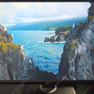 DELL 세로회전 가능한(피벗) LED 24인치 모니터 U2412MB 팝니다